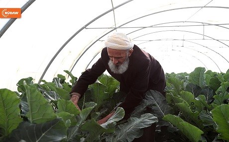 The practical and moral necessity of bailing out Kurdistan