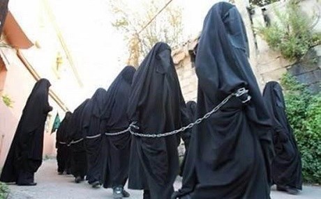 NY: Piraniya koleyan kurdên êzîdî ne!