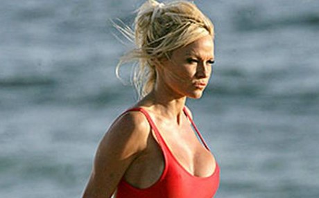 فەرەنسا... بۆ پاراستنی قاز و مراوی پەرلەمان بانگهێشتی ئەندەرسۆن دەکات