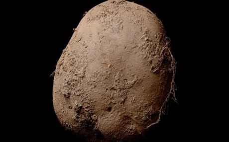 Bu patates 1 milyon euro