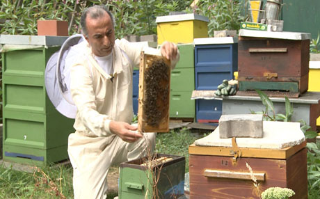 هەنگەوانێكی كورد: هەنگوینی كوردستان لە هەنگوینی ئەڵمانیا بەتامترە