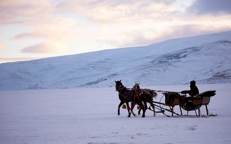 Kürt illeri Antartika gibi!