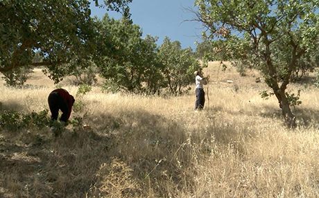 Maziyên Kurdistanê bo Tirkiye, Îran û Rûsya tê hinartin