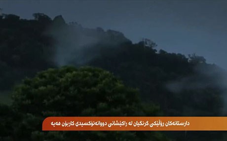 دارستانەکان رۆڵیان لە راکێشانی دووانە ئۆکسیدی کاربۆن هەیە