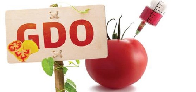 KORKUNÇ İDDİA - 'Kürtler GDO kobayı!'