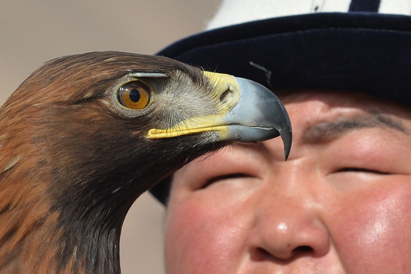 FOTO - Kırgızistan'da avcılık festivali
