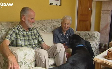 ئوسترالیا.. لەرێگەی سەگەوە چاودێری تووشبووانی لەبیرچوونەوە دەکرێت