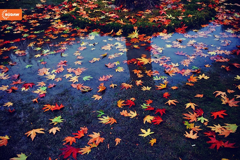 FOTO – Süleymaniye 4 mevsim büyülüyor