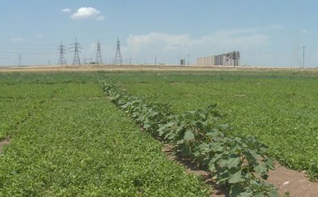 7 ساڵە هیچ پارەیەك بۆ دامەزراندنی کارگەی پەین تەرخاننەکراوە