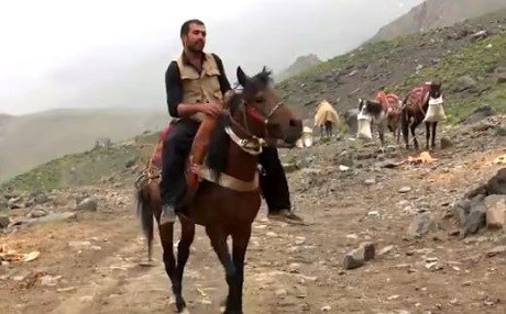 VİDEO – ‘Kürt Atı’ hem güçlü hem dayanıklı