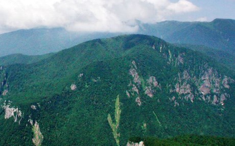 ژاپۆن؛ گەڕان بەدوای منداڵە ونبووەکە پێینایە رۆژی شەشەم