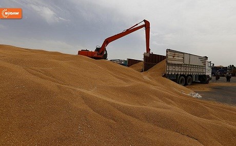 Kurds to fill the ‘bread basket’ once again by restoring agriculture