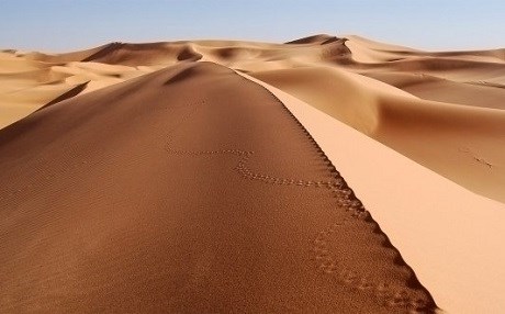 34 KİŞİ - Çölde aç - susuz öldüler!