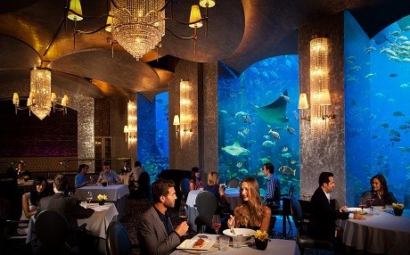 Dubai’den alkol düzenlemesi