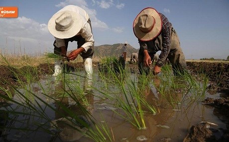 Çandina birinc li Merîwan