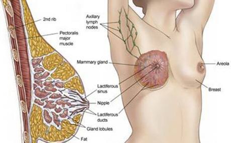 چارەسەرێكی نوێ بۆ شێرپەنجەی مەمك