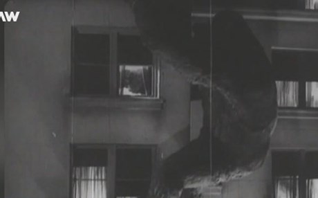 گەورەترین گۆرێلا لە هۆلیوود دەردەکەوێت