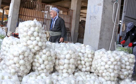 بەرهەمی پیاز بۆ سێ‌ هێندە زیاد دەبێت