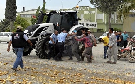 Patates yüzünden 8 yıl hapis!