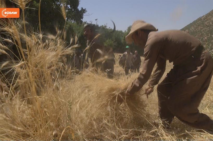 FOTO – İmece kültürünü yaşatıyorlar