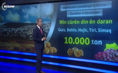 VÎDEOGRAFÎK - Berhemên çandiniyê li Efrînê