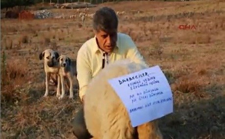 VİDEO – Aydın Aydın hayvanlarla darbeye karşı
