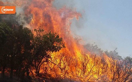 Kürdistan’da ormanlar alev alev