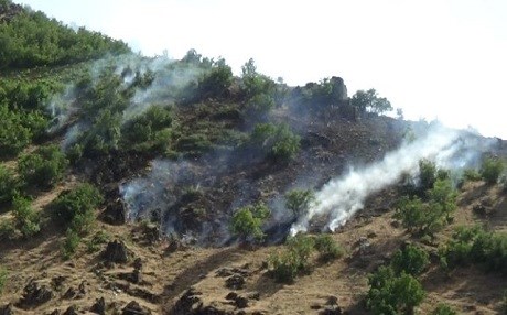 Li Colemêrgê şer berdewam e: 2 efser hatin kuştin