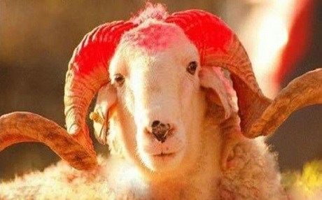 Bayrama hendek - OHAL etkisi!