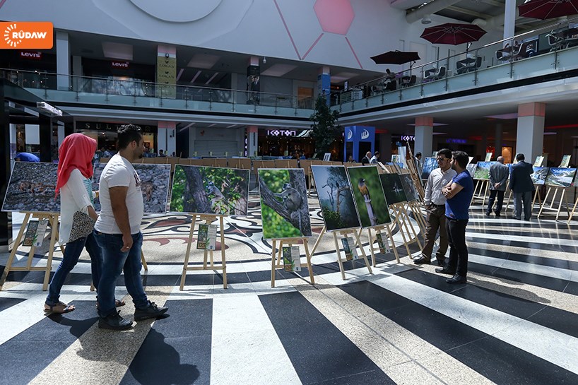 WÊNE / Hewlêr – Xweza û jiyana ajelên çiyayî di wêneyan de