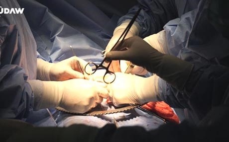 نۆڕین باس لە نهێنییە پزیشکییەکانی چاندنی گورچیلە دەکات