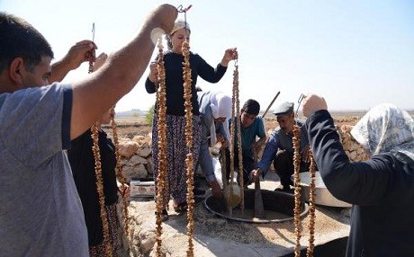 Diyarbakır’da bağ bozumu buluşması