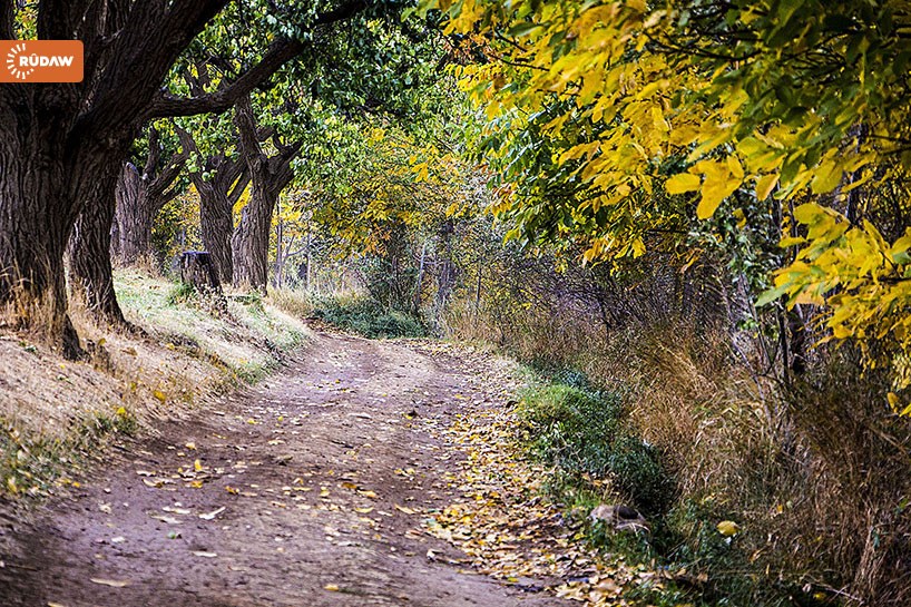 Payiza Rojhilata Kurdistanê
