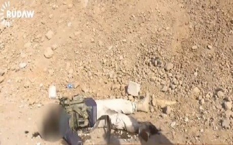 VÎDEO – Li nav Mûsilê pisîk laşên çekdarên DAIŞê dixwin