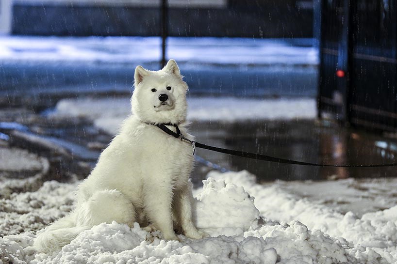 FOTO - ABD'de kar fırtınası uyarısı