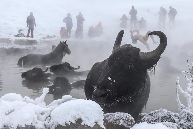 FOTO/BİTLİS - Kaplıcalara fotoğrafçı ilgisi