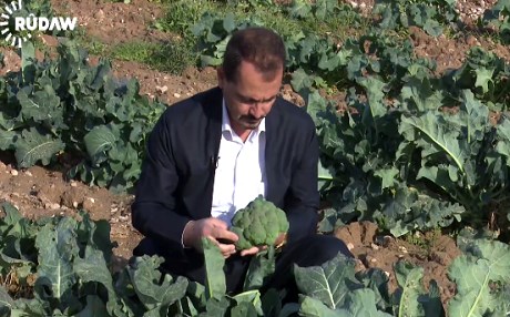 Cotkarê kurd: Ji petrolê re bîr heye, çima ji çandiniyê re nîne