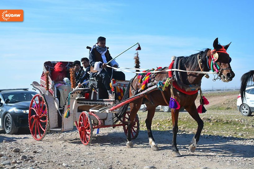 Başûrê Kurdistanê - Bûk û zava yên kurd suwarî hesp û kalisekeyê çûn daweta xwe