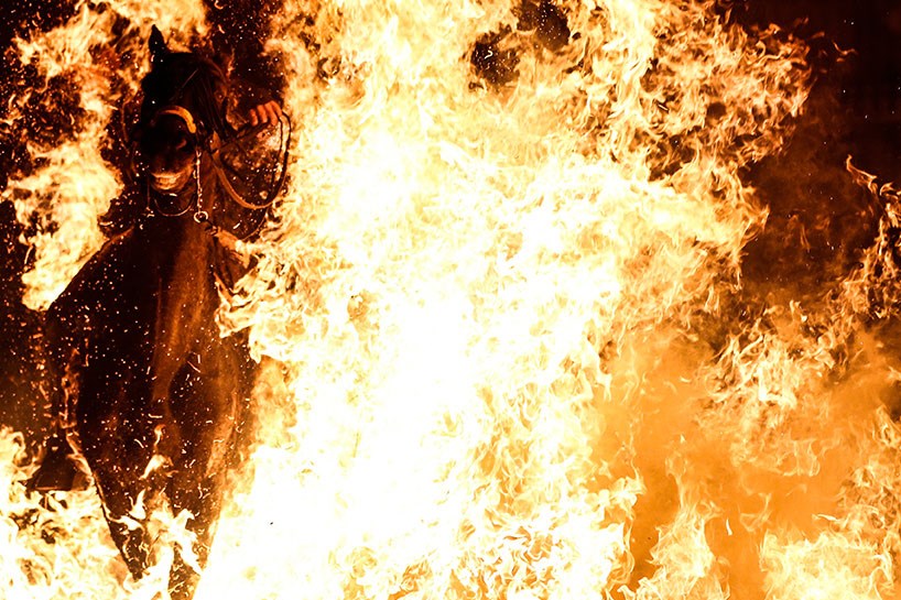 FOTO - Atlar günah çıkardı