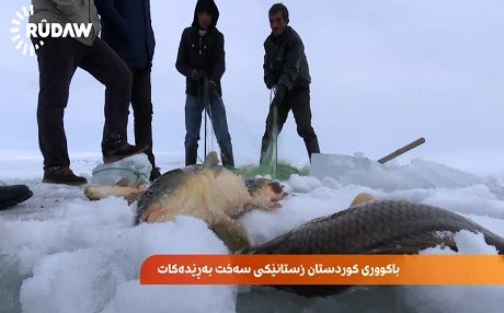 BEDLÎS - Masîgir bi bivirî cemedê dişkînin û masiyan digirin