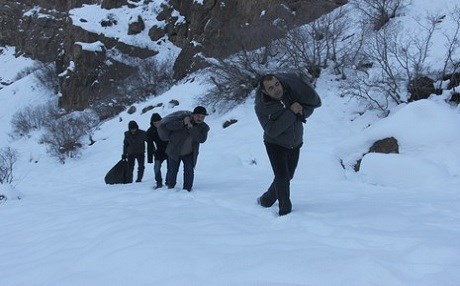 Li Colemêrgê ji bo ajalên kovî êm danîn