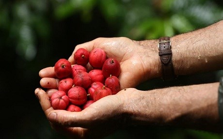 Kanserde mucize tedavi: 48 saat!