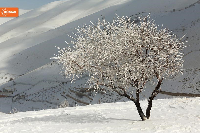 FOTO – Süleymaniye'de dağlar bembeyaz
