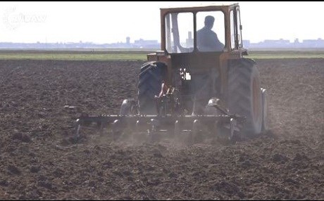 Cotkarên Herêma Cizirê dest bi çandiniya werza nû dikin