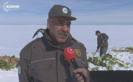 Amed – Ji bo ajelên kovî xorek û êm li ser çiya tê belavkirin