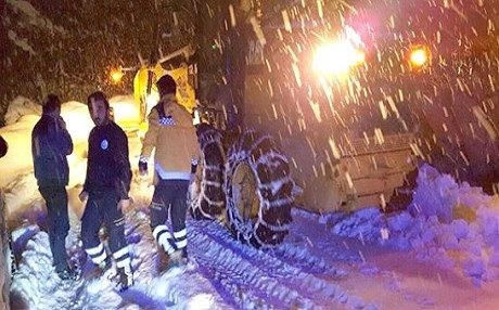 300 kes li ser çiyayê Qerejdaxê asê man