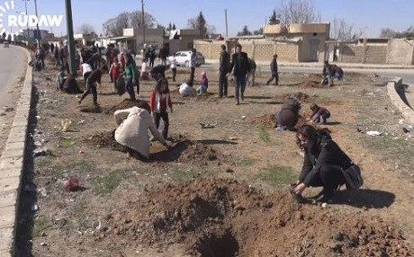 Li Qamişlo saziyên civaka sivîl dest bi çandina daran kirine