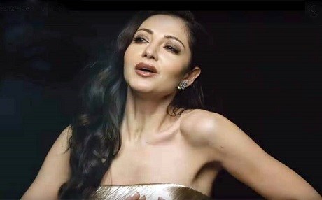 Kürt şarkıcı: Aile müzikten daha önemli