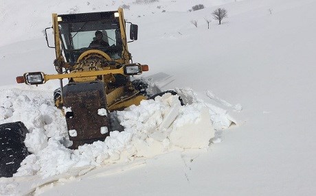 Zivistan careke din vegeriya Bakurê Kurdistanê