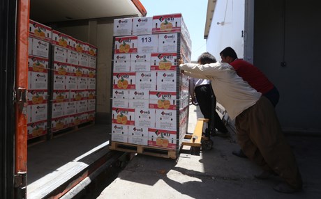 FAO runs workshop for Iraqi gov’t to establish database for food security